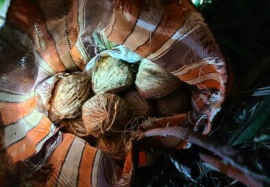 14 live bombs have been recovered in the Khoyrasol block of Birbhum