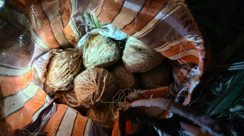 14 live bombs have been recovered in the Khoyrasol block of Birbhum